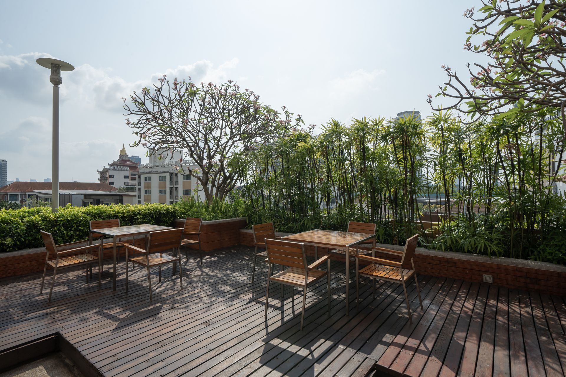 Hotel common area and amenities
